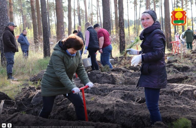 Спикер горсовета Евгения Фрай приняла участие в акции «Сохраним лес»
